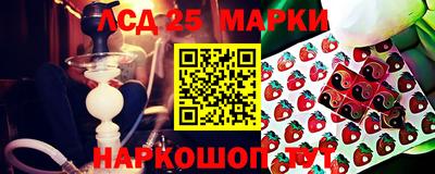 спиды Камышлов