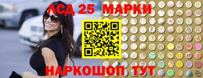 спиды Камышлов