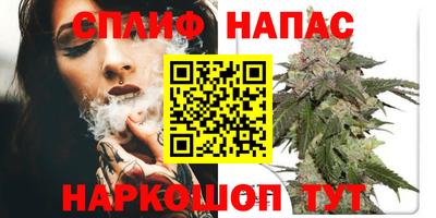 спиды Камышлов