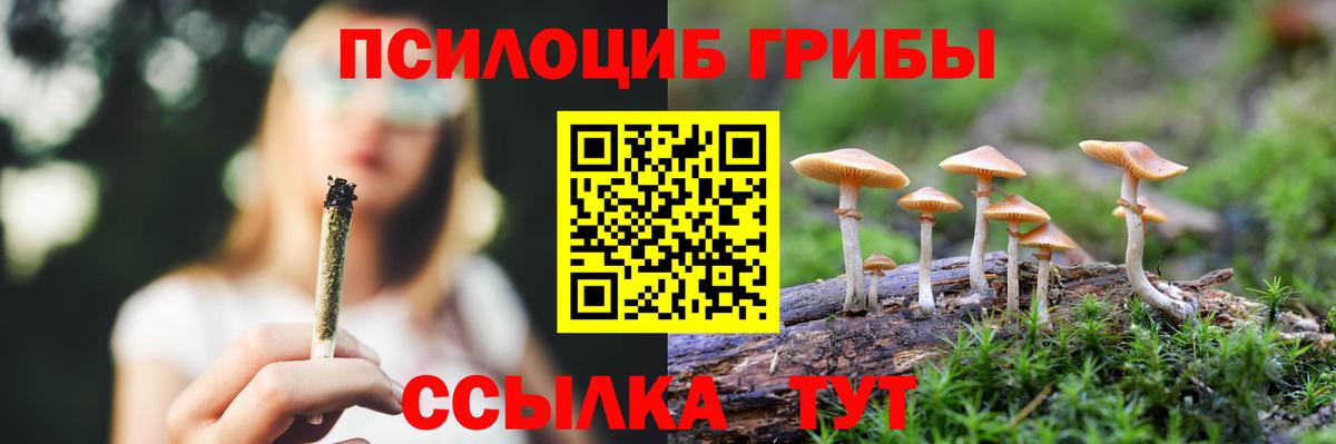 Нефтеюганск  Галлюциногенные грибы прущие грибы  Вход с VPN 